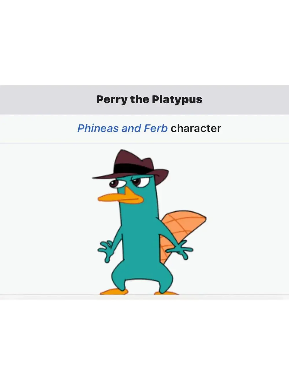 Hututu Perry the Platypus Plush Costume Hoodie Size Large